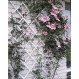 Nature Gard de gradina tip Trellis, 50 x 150 cm PVC, alb, 6040701