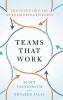 Teams That Work: The Seven Drivers of Team Effectiveness
