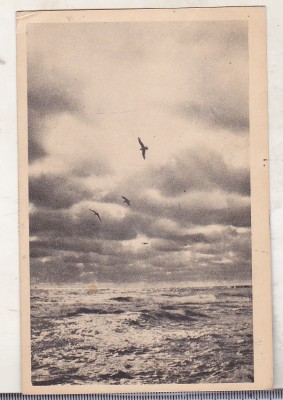 bnk cp Constanta - Peisaj marin - circulata - Libraria Noastra foto