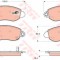 Set placute frana,frana disc FORD TRANSIT platou / sasiu (FM, FN) (2000 - 2006) TRW GDB1424