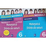 MATEMATICA SI STIINTELE NATURII, CLASA A 6-A: GHID DE PREGATIRE, CAIET DE EVALUARE-IUNONA STAS, GABRIEL VRA-324058