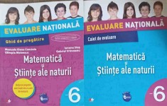 MATEMATICA SI STIINTELE NATURII, CLASA A 6-A: GHID DE PREGATIRE, CAIET DE EVALUARE-IUNONA STAS, GABRIEL VRA-249321