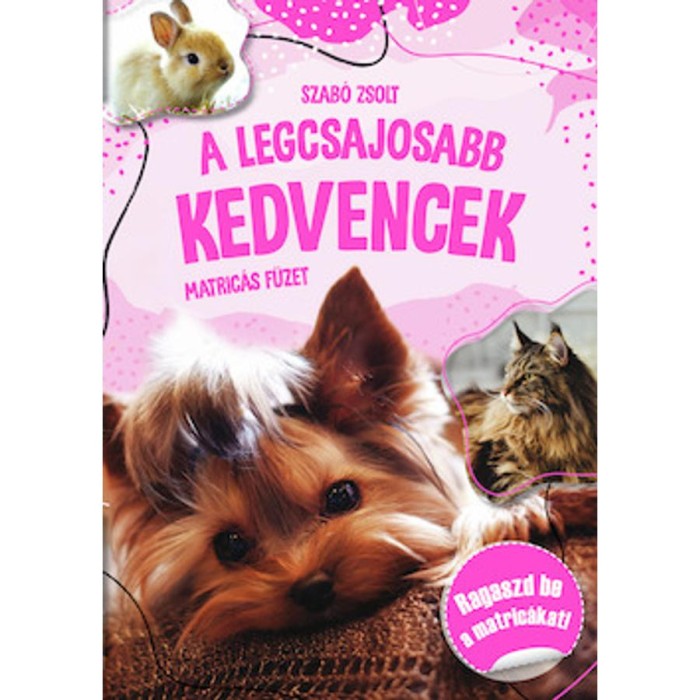 A legcsajosabb kedvencek