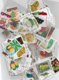 PLIC FILATELIC 50 TIMBRE STRAINE DIFERITE STAMPILATE, CU TEMA FRUCTE/LEGUME + BONUS