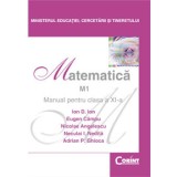 Matematică M1 - Manual pentru clasa a XI-a