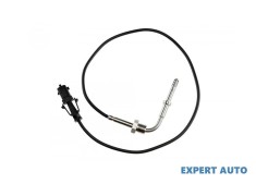 Senzor temperatura gaze dpf Fiat Croma (2005-&gt;) [194] #1
