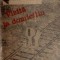 Vizita la domiciliu - Roman