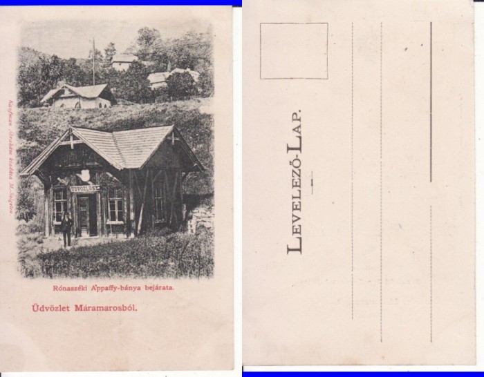 Costiui, Ronaszek , Maramures- mina, salina-clasica, rara