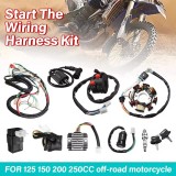 Instalatie Electrica Completa ATV Quad 125cc 150cc 200cc 250cc 300cc - 8 bobine