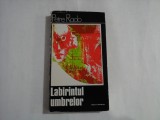 Labirintul umbrelor (Expresionismul in cinema) - Petre RADO