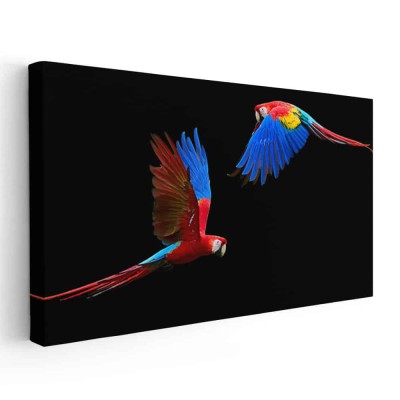 Tablou doi papagali Ara in zbor 1757 Tablou canvas pe panza CU RAMA 30x60 cm foto