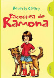 Pacostea de Ramona (Vol. 2) - Paperback brosat - Beverly Cleary - Arthur