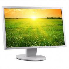 Monitor EIZO LCD FlexScan EV2416W, Diagonala 24 inch (61 cm) Culoare gri deschis, Grad A+, refurbished