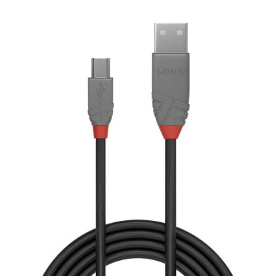 Cablu Lindy 2m USB 2.0 Type A to MiniUSB foto