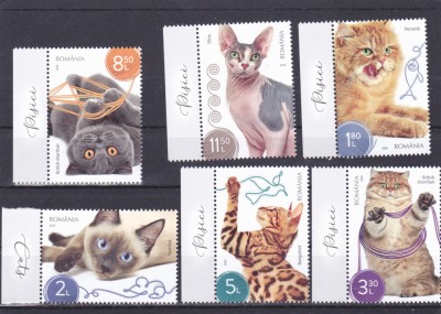 ROMANIA 2020 - PISICI, MNH - LP 2272 foto