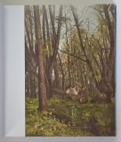 MUZEUL DE ARTA , CONSTANTA , editie de LELIA RUS - PIRVAN si CRISTINA GELAN , 2025 *EDITIE BILINGVA