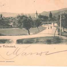 SV * Salutari din TALMACIU * Sibiu * Gruss aus Talmatsch * 1902
