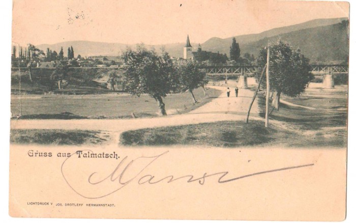 SV * Salutari din TALMACIU * Sibiu * Gruss aus Talmatsch * 1902