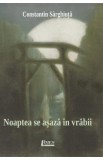 Noaptea se asaza in vrabii - Constantin Sarghiuta