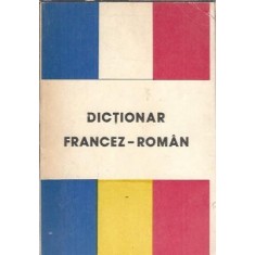 Dictionar francez-roman - Micaela Slavescu