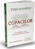 Viata secreta a copacilor | Peter Wohlleben