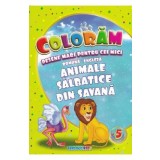 Coloram desene mari pentru cei mici: Animale salbatice din Savana