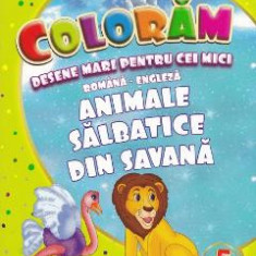 Coloram desene mari pentru cei mici: Animale salbatice din Savana