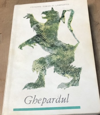 LITR27 Ghepardul foto
