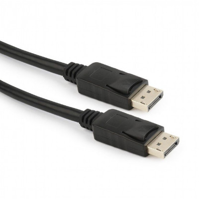 Cablu Video Adaptor DisplayPort la DisplayPort 2m Display Port DP foto