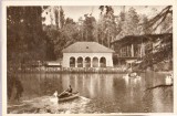 AMS# - ILUSTRATA/VEDERE CRAIOVA, VEDERE DIN PARC 1958, CIRCULATA, Printata