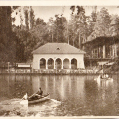 AMS# - ILUSTRATA/VEDERE CRAIOVA, VEDERE DIN PARC 1958, CIRCULATA