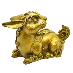 Iepure auriu mare foto