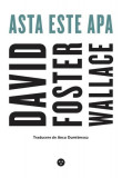 Asta este apa - Paperback brosat - David Foster Wallace - Black Button Books