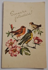 Felicitare veche romaneasca anul 1979 , mesaj &#039;&#039; Sincere felicitari &#039;&#039;
