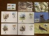 Azerbaijan - pasari - serie 4 timbre MNH, 4 FDC, 4 maxime, fauna wwf