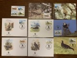 Azerbaijan - pasari - serie 4 timbre MNH, 4 FDC, 4 maxime, fauna wwf