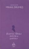 Elevul Dima dintr-a saptea foto