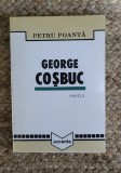 Petru Poanta - George Cosbuc. Poetul