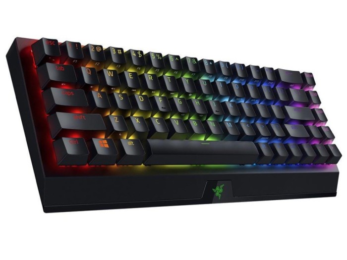 Tastatura Razer BlackWidow V3 Mini HS GS