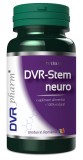 Dvr stem neuro 60cps