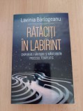 Lavinia Barlogeanu - Rataciti in labirint
