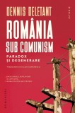 Romania sub comunism | Dennis Deletant