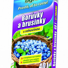 Substrat pentru afine si afine rosii AGRO 45 l