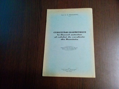 CERCETARI BIOMETRICE la Fluerul Anterior al Calului ..- G. Moldoveanu -1939, 15p foto