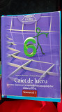 Cumpara ieftin MATEMATICA CLASA A VI A CAIET DE LUCRU FIXAREA SI RECAPITUAREA CUNOSTINTELOR, Clasa 6, Auxiliare scolare