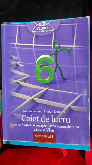 MATEMATICA CLASA A VI A CAIET DE LUCRU FIXAREA SI RECAPITUAREA CUNOSTINTELOR