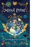 Carte Micul Print Antoine de Saint-Exupery Svetlana Ugariu