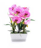 Cumpara ieftin Flori ghiveci 45x21x11cm