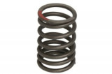 (external vale spring) GY6-50 compatibil: CHIŃSKI SKUTER/MOPED/MOTOROWER/ATV 4T; KYMCO AGILITY, DINK, FILLY, PEOPLE, SUPER 8, VITALITY 50, Inparts