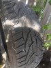 Anvelope tiger, 215, 55, R17